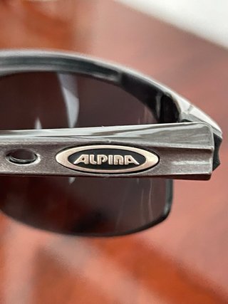 Gafas de sol Alpina