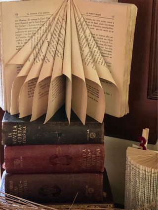 Esclusivi libri antichi rinnovati decorativi