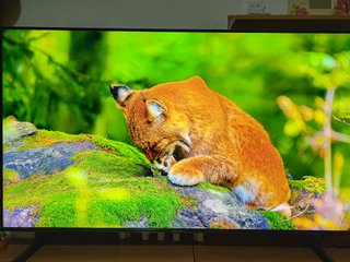 TV Hisense 55 Mini-LED 4K