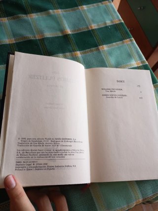 Los Premios Pulitzer de la Novela