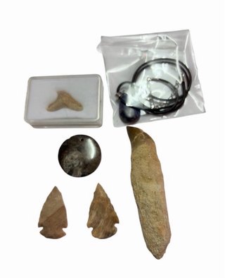 Colección de Fósiles Variados
