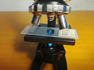 Microscopio Rik & Rok para niños