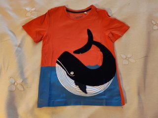 Pack 2 Camisetas Manga Corta Niño C&A Talla 8