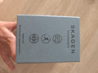 Reloj Skagen Falster 2 Gris/Plata