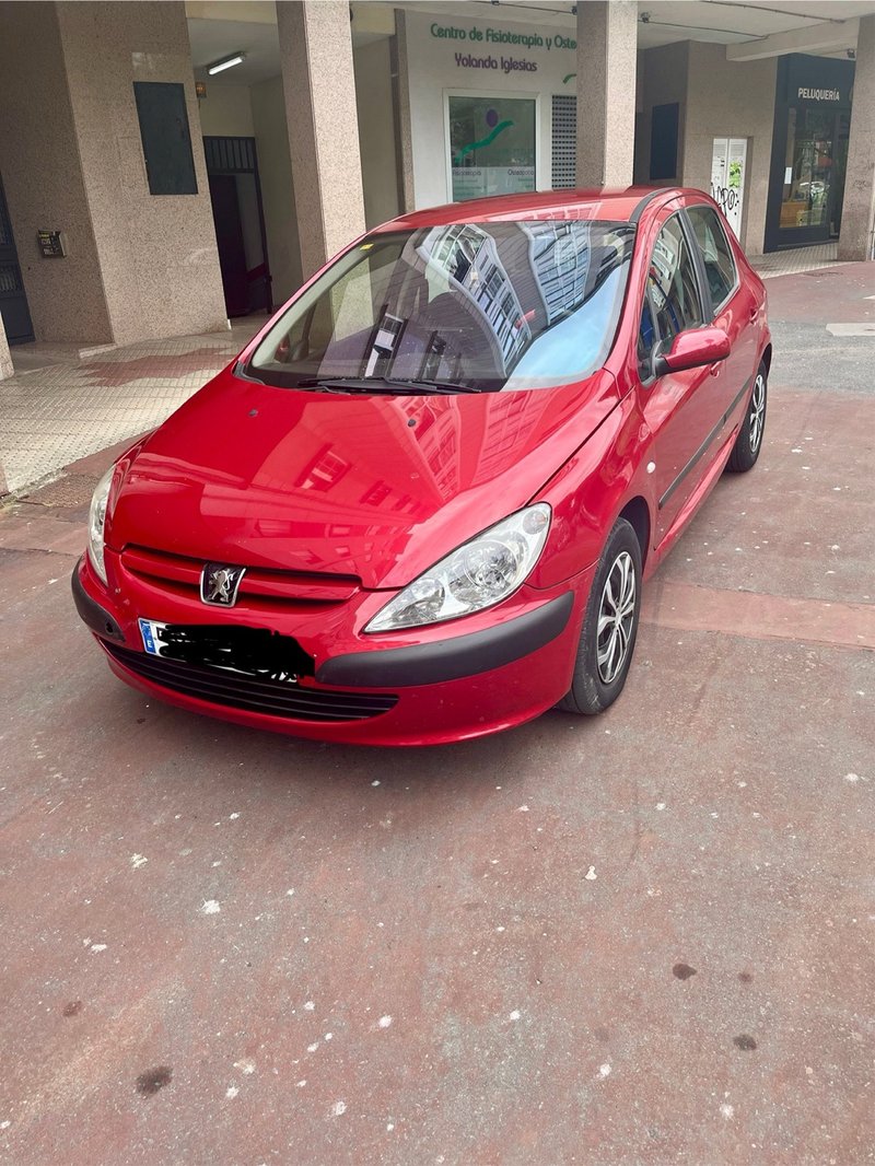 Peugeot 307 2001 - foto 1