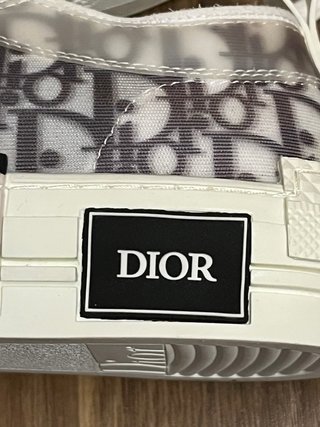 Zapatillas Dior Hombre Gris y Blanco