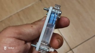 Reino para hormigas transparente