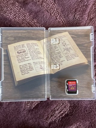 Pokemon Purpura Nintendo Switch