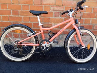 Bicicleta Infantil 20 RIVERSIDE