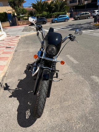 Harley Davidson Sportster 883 Low del 2006