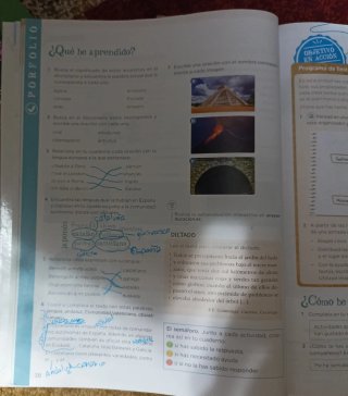 Lengua 5 Primaria