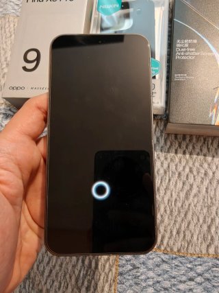 Oppo Find X9 Pro Titanium grey 512gb