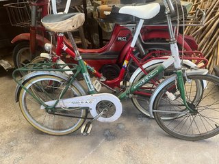 Bicicleta GAC plegable verde