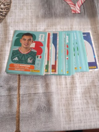 Cromos Panini