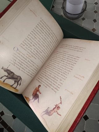 Fascimil Libro de los Animales Pier Cándido