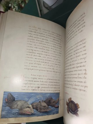 Fascimil Libro de los Animales Pier Cándido