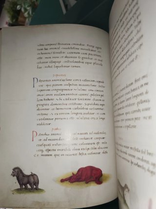 Fascimil Libro de los Animales Pier Cándido