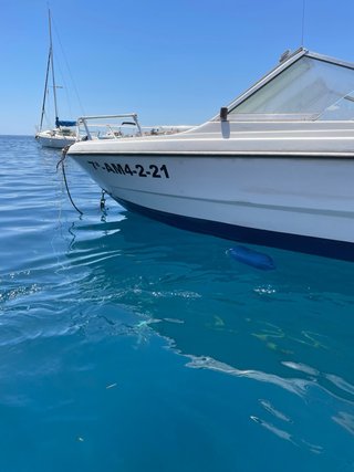 Barco con remolque