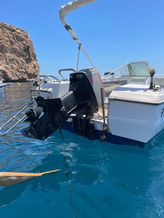 Barco con remolque