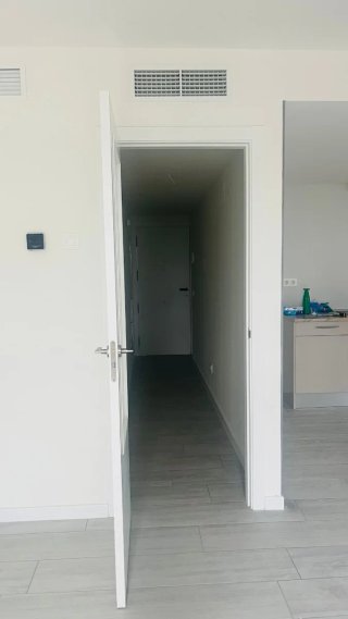 Albañil y pintor profesional