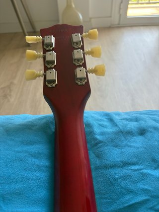 Guitarra Eléctrica Semihollow con Estuche