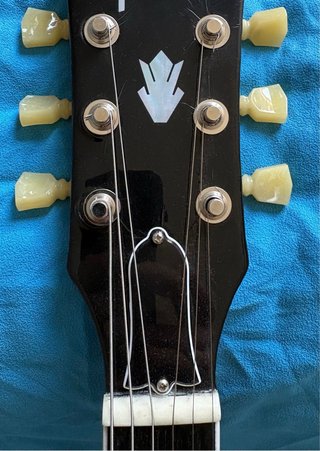 Guitarra Eléctrica Semihollow con Estuche