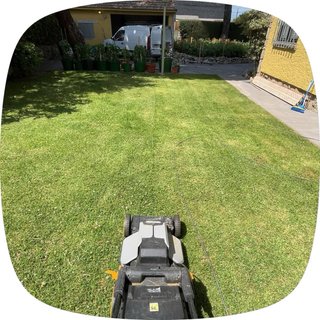 Mantenimineto de jardin y pisicnas