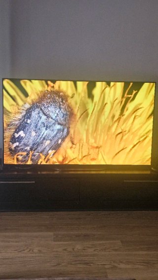 Sony KD55AG9 TV OLED 55 Negra con poco uso