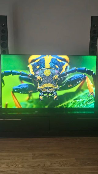 Sony KD55AG9 TV OLED 55 Negra con poco uso