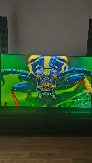 Sony KD55AG9 TV OLED 55 Negra con poco uso