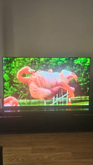 Sony KD55AG9 TV OLED 55 Negra con poco uso