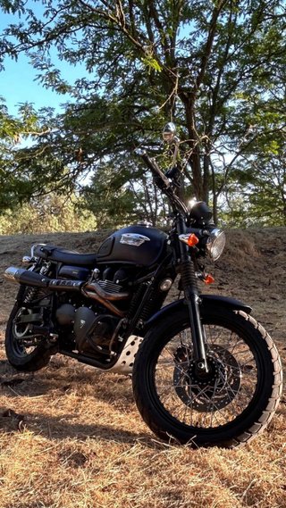 Triumph Scrambler 900