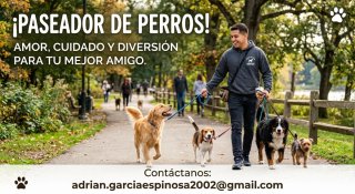 PASEADOR Y CUIDADOR DE PERROS