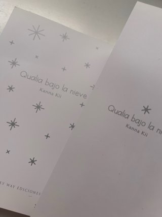 QUALIA BAJO LA NIEVE