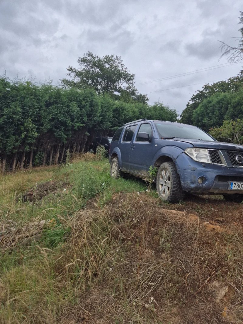 Nissan Pathfinder 2005 - foto 1