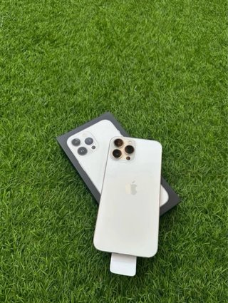 iPhone 13 Pro Max Oro/Argento
