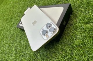 iPhone 13 Pro Max Oro/Argento