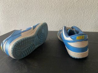 Zapatillas Nike Dunk Azul y Blanco