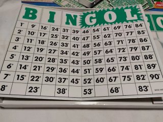 Bingo Gol - Il Gioco del Gol Minuto per Minuto