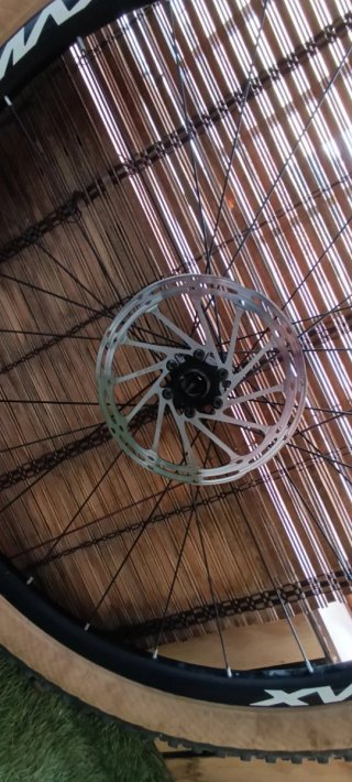 Ruedas Mavic 29 Boost