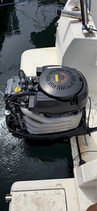 Suzuki DF 115 2007 Motor Fueraborda