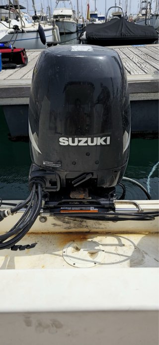 Suzuki DF 115 2007 Motor Fueraborda