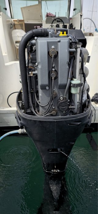 Suzuki DF 115 2007 Motor Fueraborda