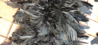 Boa de plumas negra para disfraces