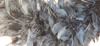 Boa de plumas negra para disfraces