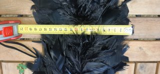 Boa de plumas negra para disfraces
