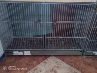 5 Jaulas para Pájaros