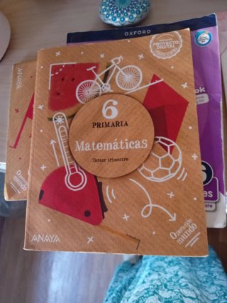 Libros 6° primaria