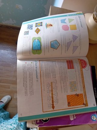 Libros 6° primaria