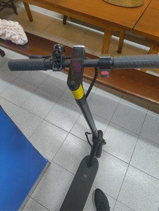 Patinete Eléctrico Xiaomi Mi Scooter Pro 2